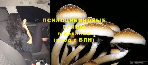 ПСИЛОЦИБИНОВЫЕ ГРИБЫ Бронницы