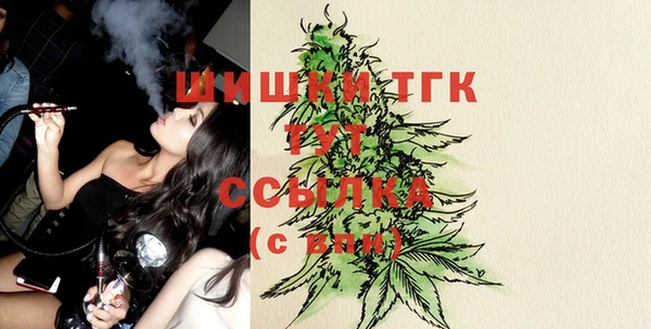 спиды Жердевка