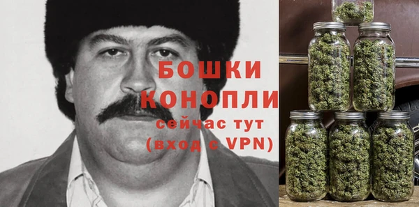 ПСИЛОЦИБИНОВЫЕ ГРИБЫ Бронницы
