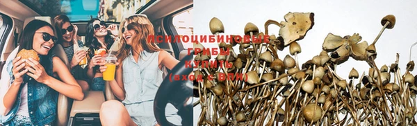 ПСИЛОЦИБИНОВЫЕ ГРИБЫ Бронницы