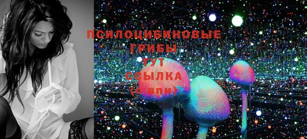 ПСИЛОЦИБИНОВЫЕ ГРИБЫ Бронницы